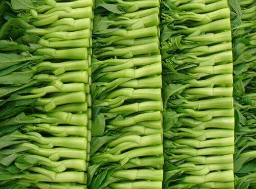 蔬菜品種：芥蘭